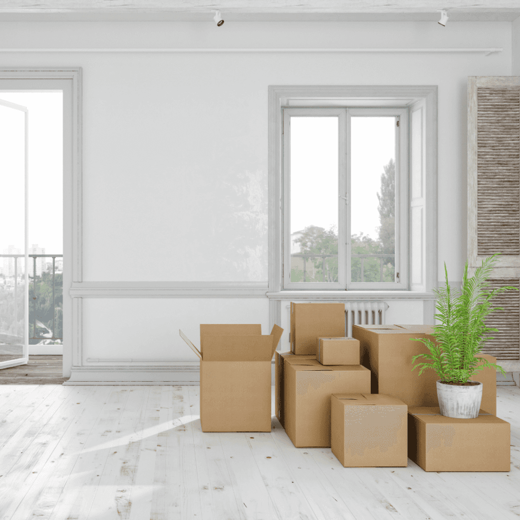 Move In/Out Cleaning